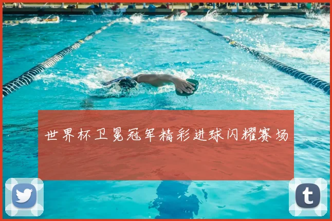 世界杯卫冕冠军精彩进球闪耀赛场