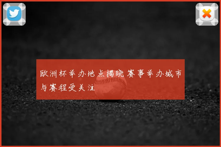 欧洲杯举办地点揭晓 赛事举办城市与赛程受关注