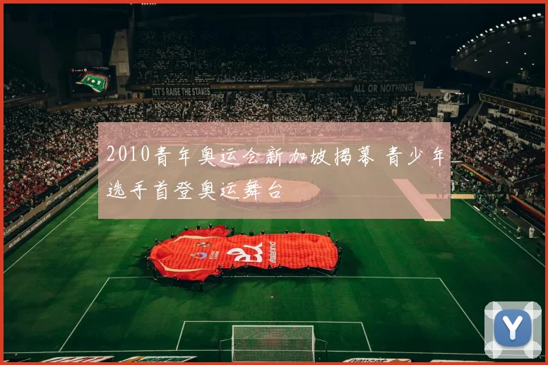 2010青年奥运会新加坡揭幕 青少年选手首登奥运舞台