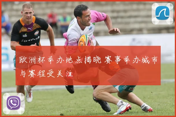 欧洲杯举办地点揭晓 赛事举办城市与赛程受关注